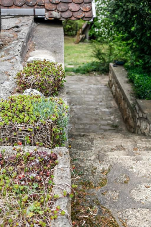 فندق Myrtus Pince Es Vendeghaz تاركال المظهر الخارجي الصورة