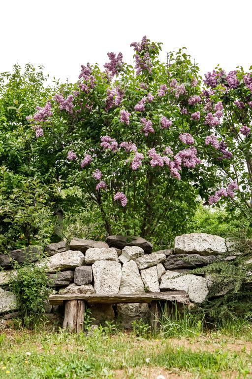 فندق Myrtus Pince Es Vendeghaz تاركال الغرفة الصورة
